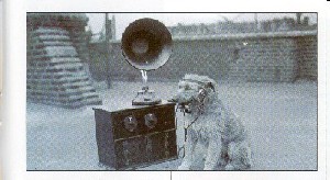 Imagem de um cão com auscultadores a ouvir o rádio