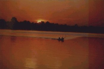 Foto de pôr-do-sol na Amazónia